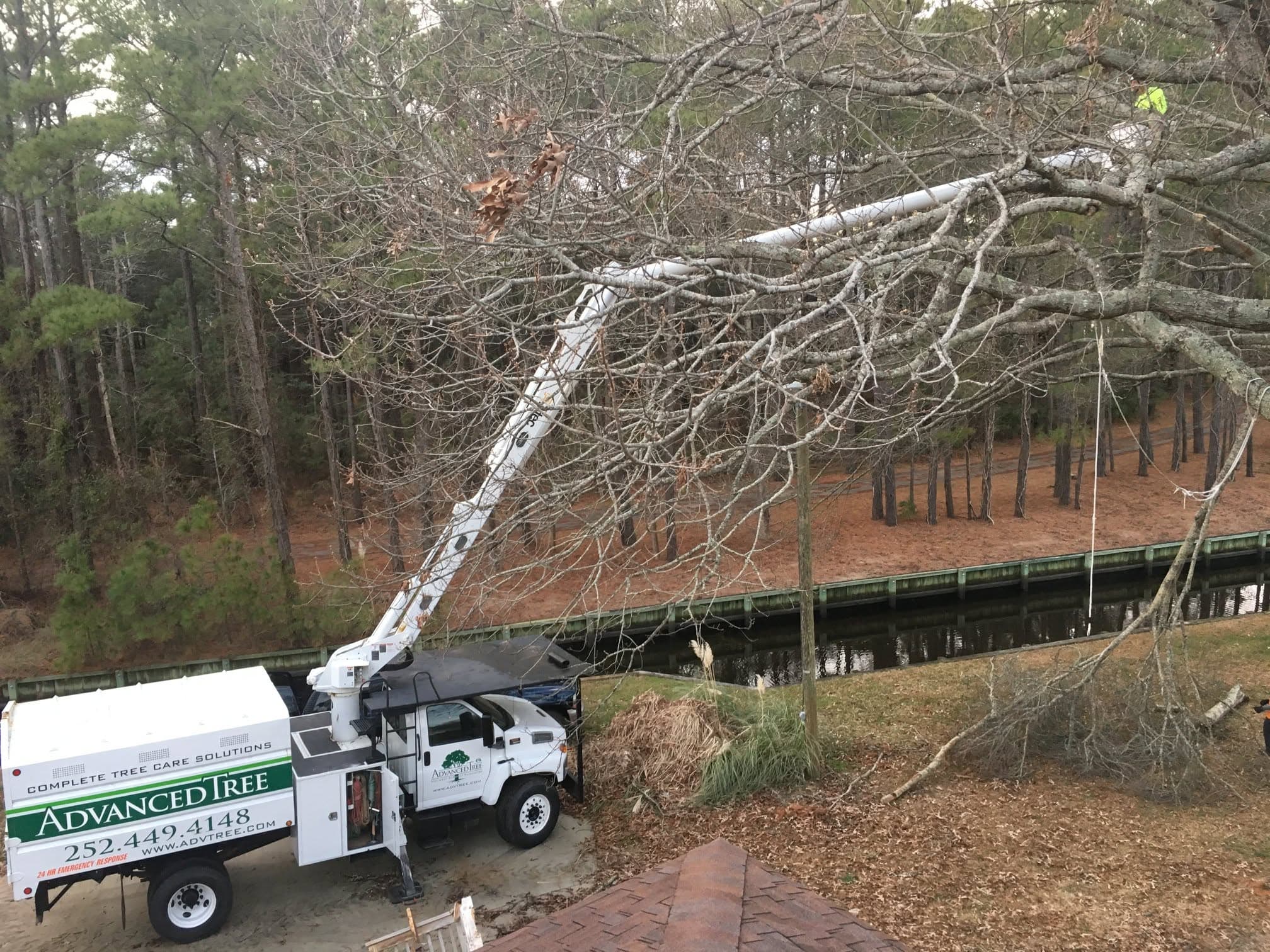 Advanced Tree crane and crew performing technical work with controlled access