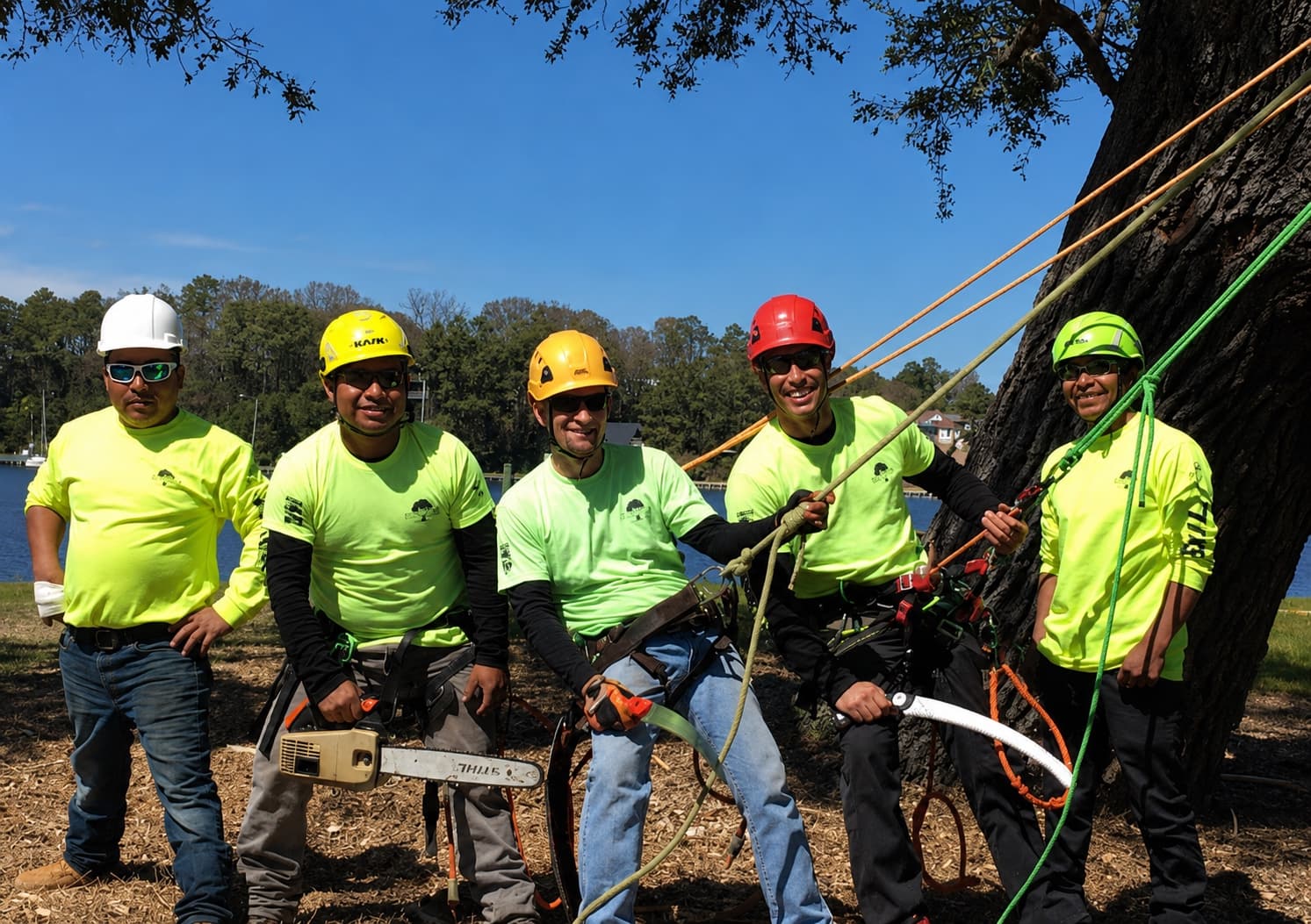Professional Advanced Tree crew members gathered at a coastal work site