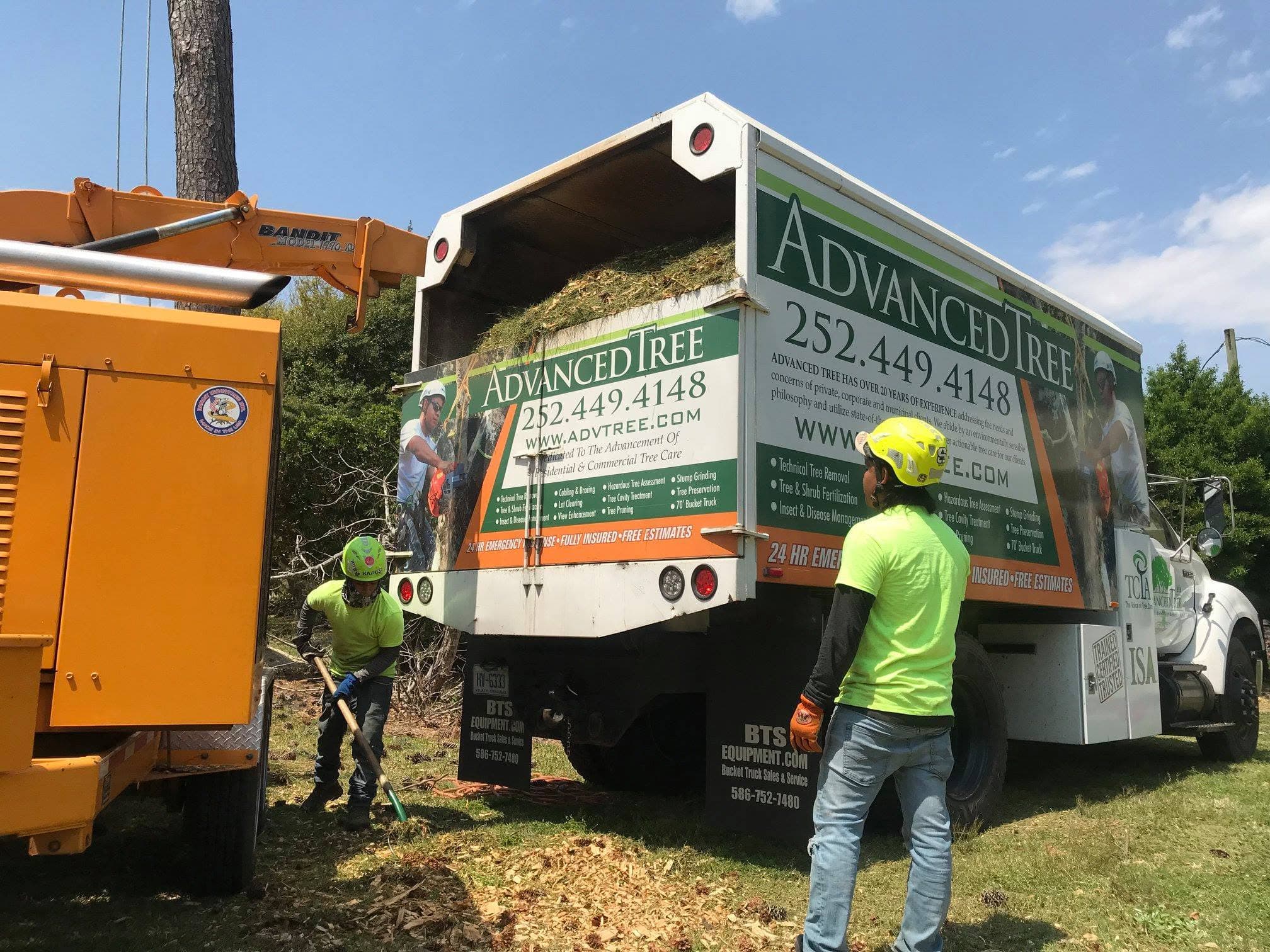 Advanced Tree crew working with professional equipment
