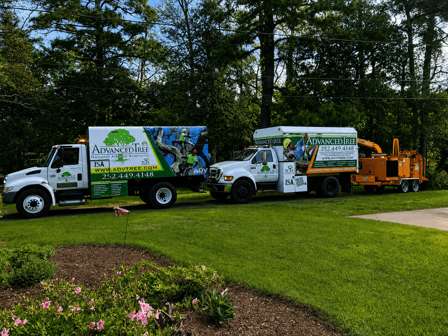 Advanced Tree trucks and professional equipment ready for tree care work