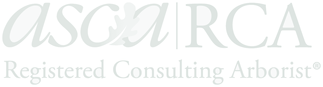 ASCA Registered Consulting Arborist